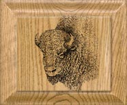 buffalo gifts and bison decor