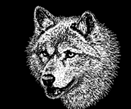 Wolf Decor and Wildlife Gifts